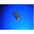 Universal Trigger Spring